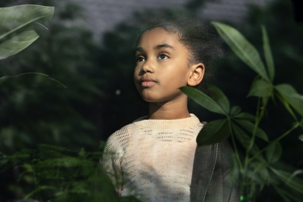 Alan Watts – Man in Nature: The Mechanical Theory of Nature in Western&nbsp;Tradition