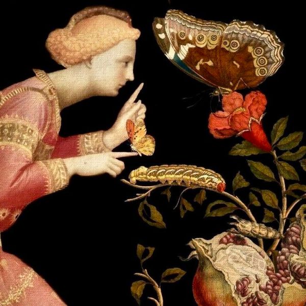 Early Hellenic Philosophers on the Stellar-Fiery Origins of&nbsp;Intelligence