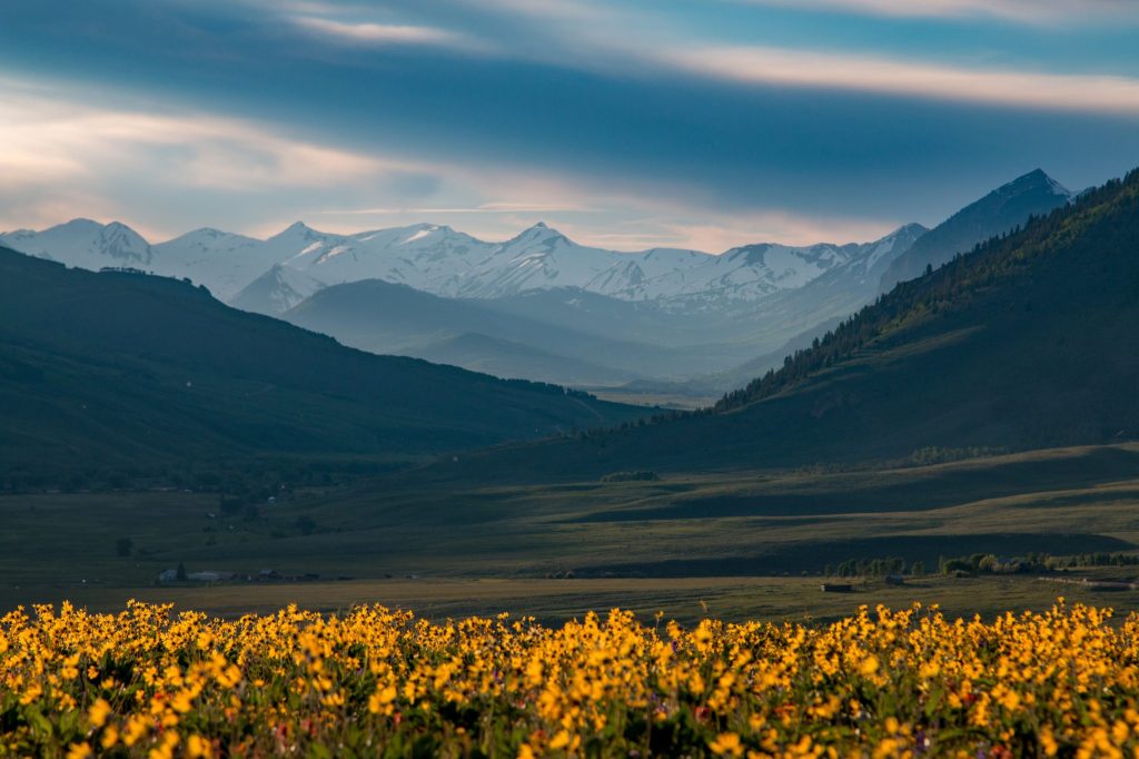 Explaining Modern Theosophy: Hyponoia, Analogy and Eclecticism in Classical Philosophical&nbsp;Rigor