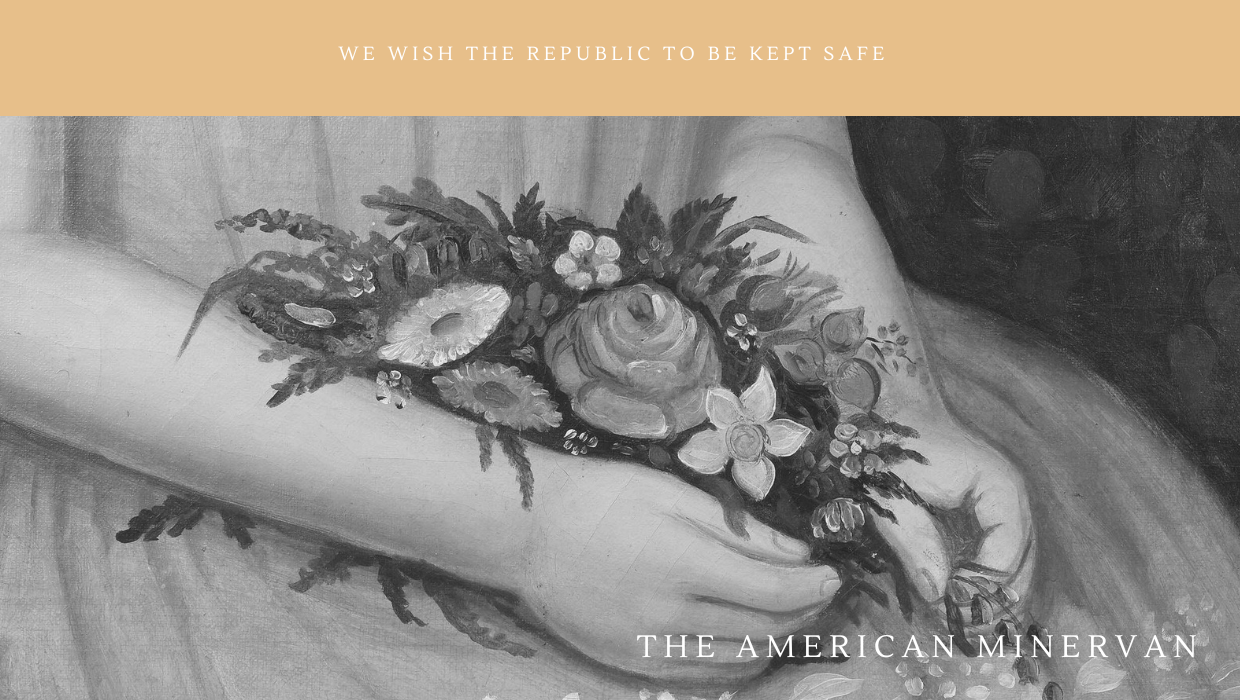 Republicanism and Democracy: Why the Terms Carry Different Meanings —&nbsp;Q&A